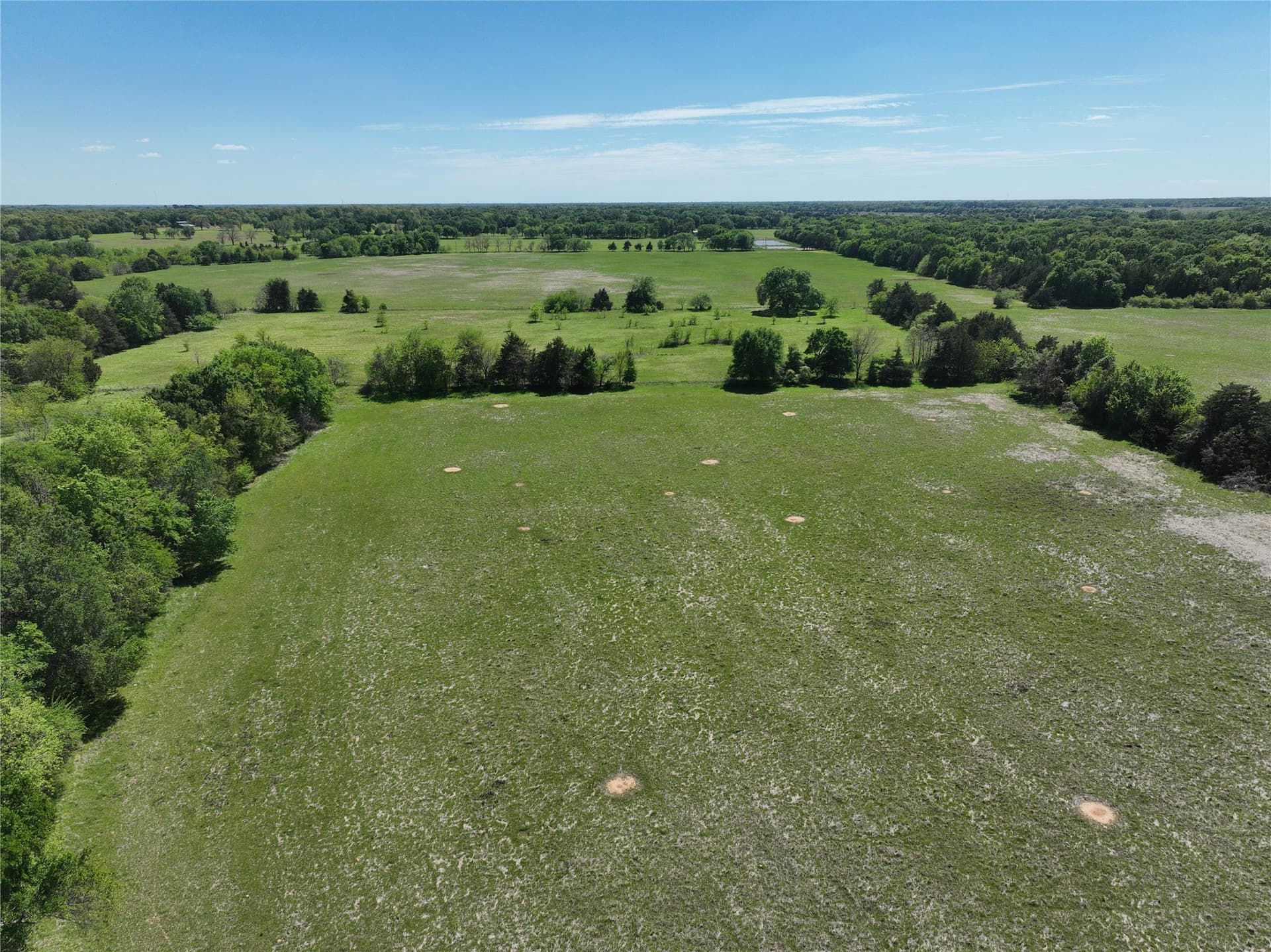 375.6 acres in Fannin County - photo 17