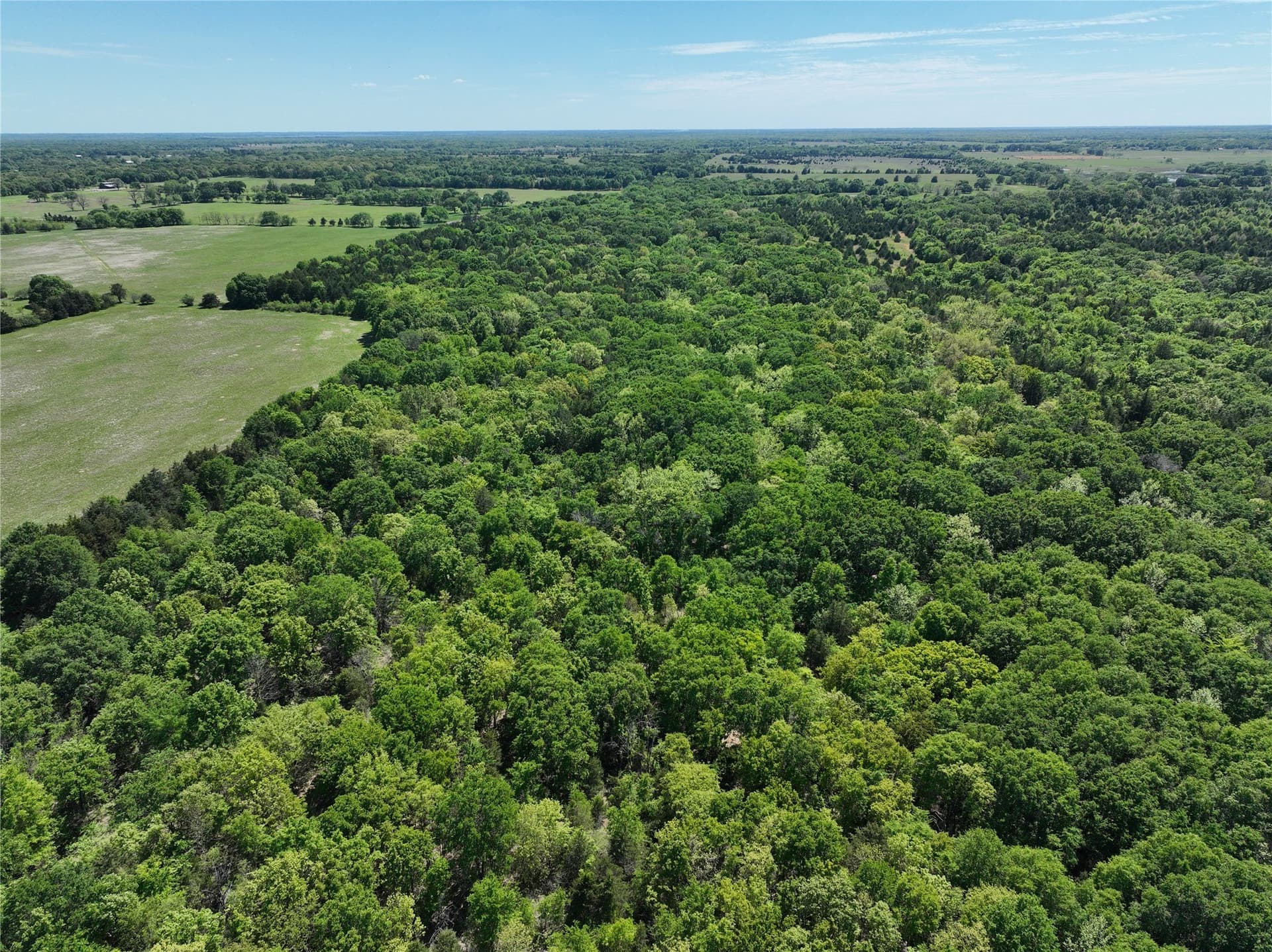 375.6 acres in Fannin County - photo 11