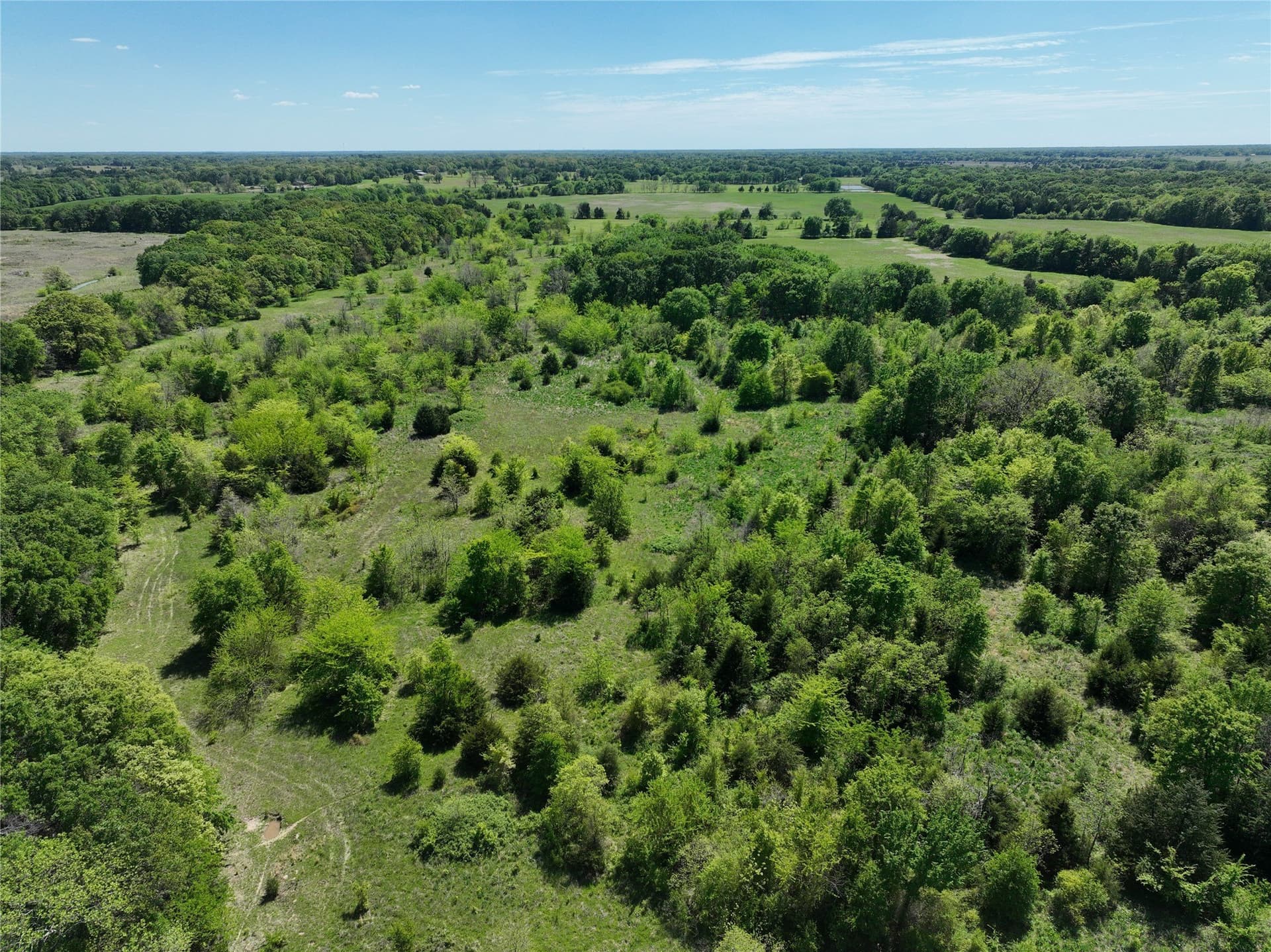 375.6 acres in Fannin County - photo 16