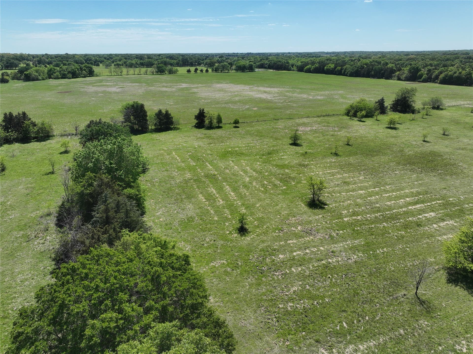 375.6 acres in Fannin County - photo 8