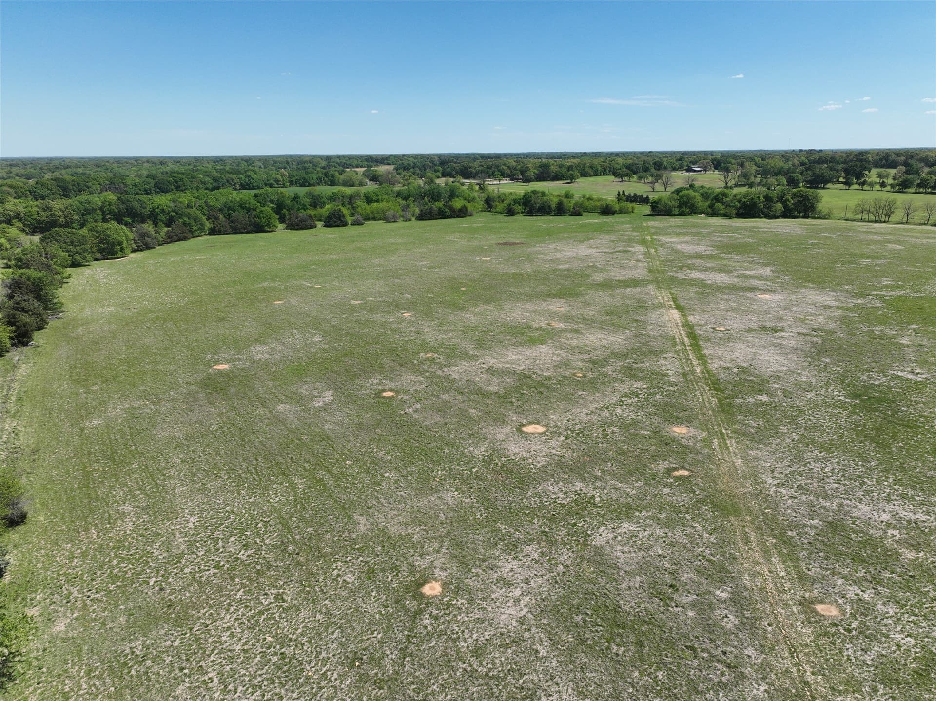 375.6 acres in Fannin County - photo 18