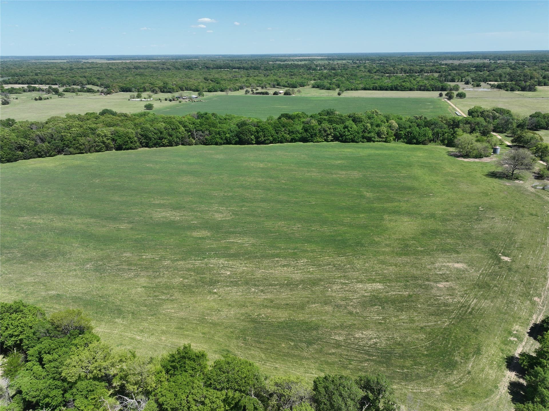 375.6 acres in Fannin County - photo 6