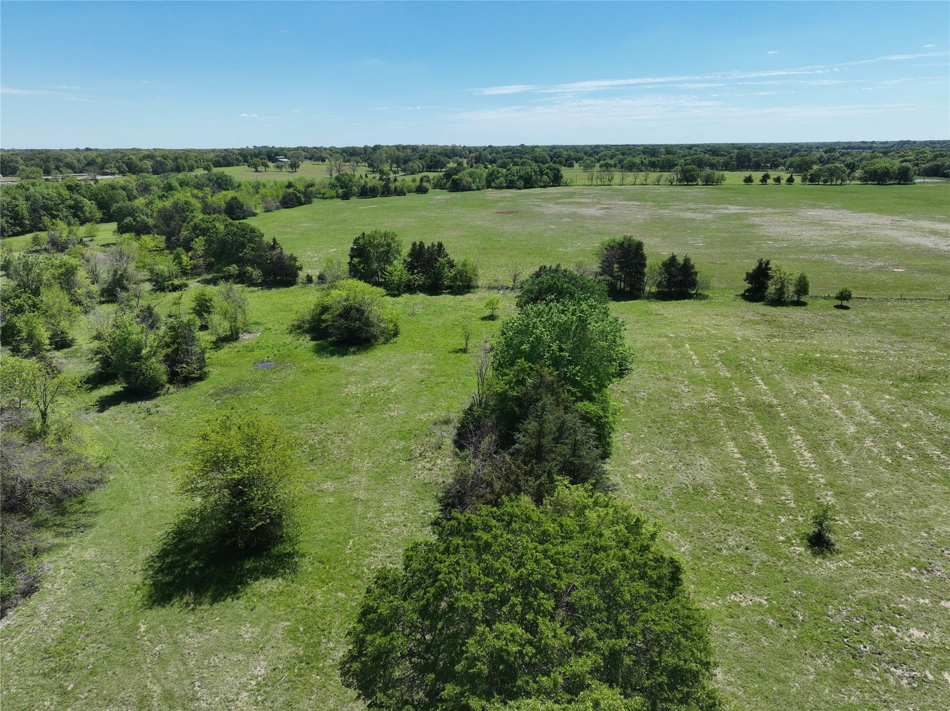 375.6 acres in Fannin County - photo 9