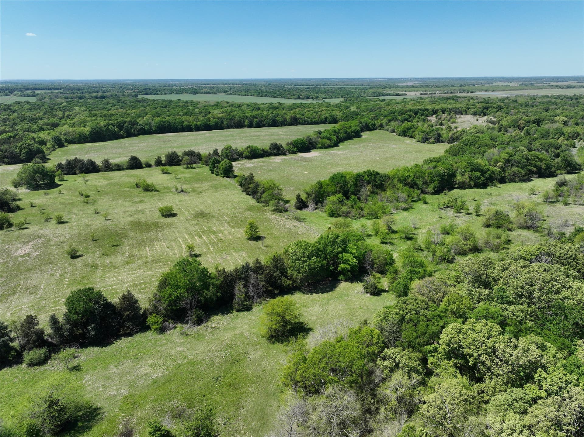 375.6 acres in Fannin County - photo 7