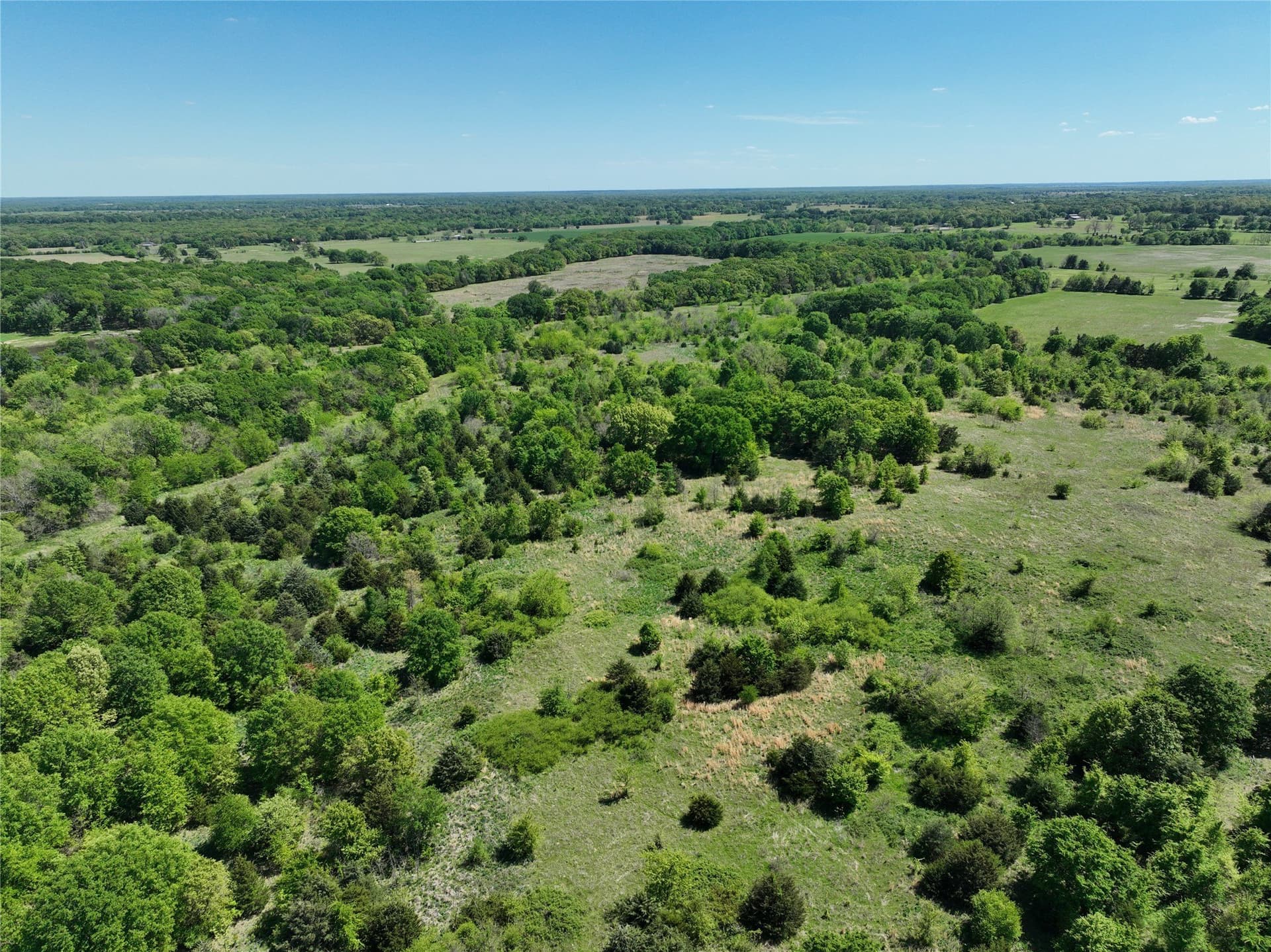 375.6 acres in Fannin County - photo 15