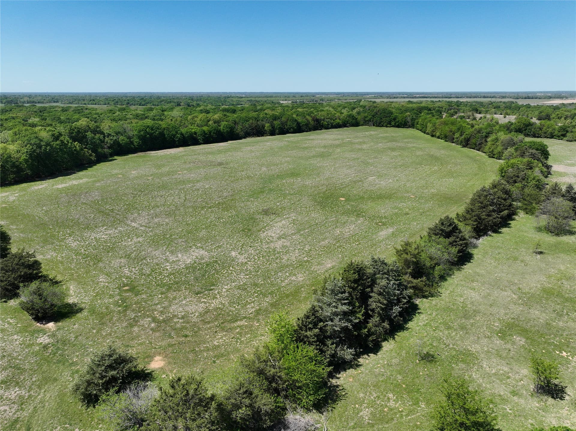 375.6 acres in Fannin County - photo 19