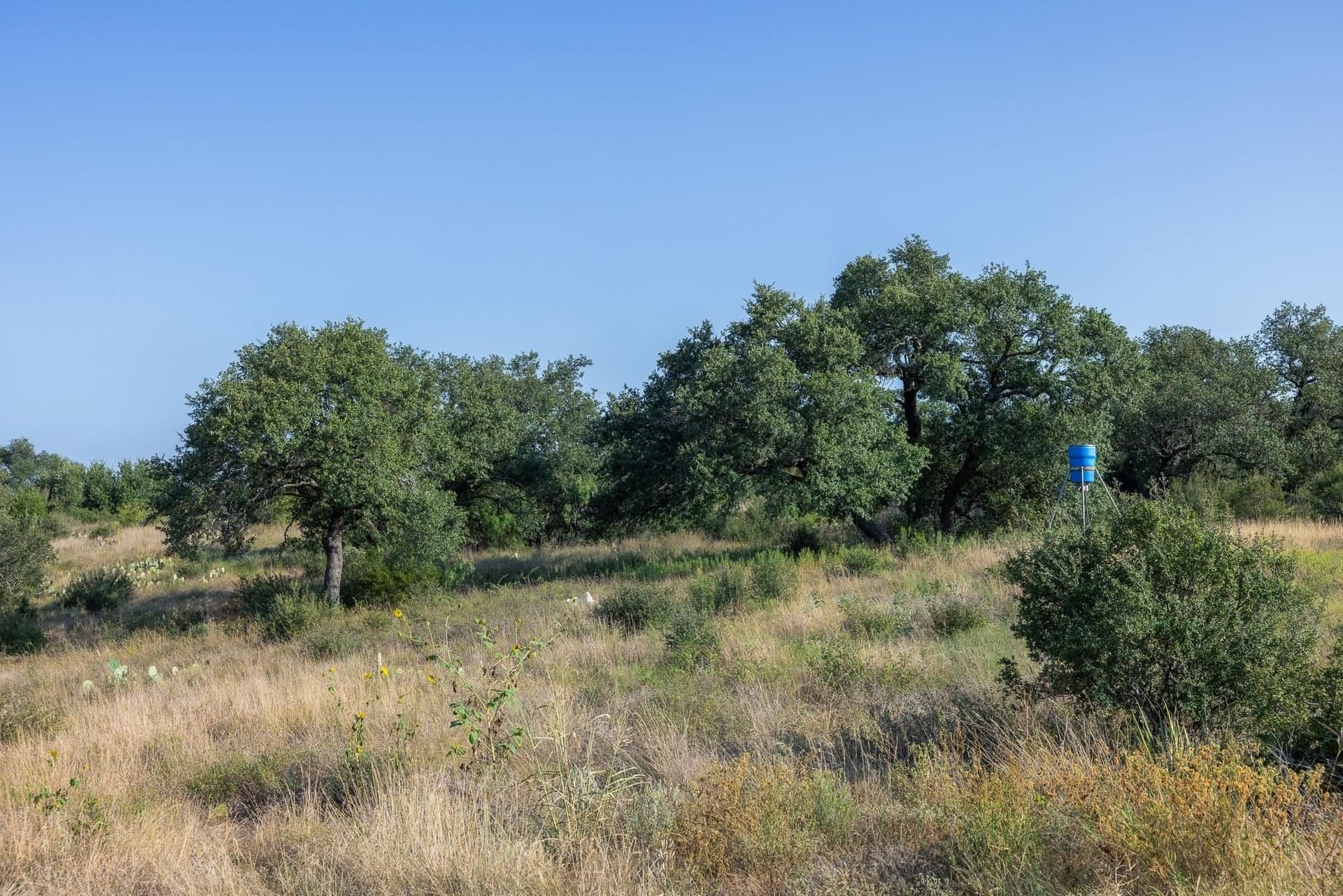 10 acres in Burnet County - photo 23