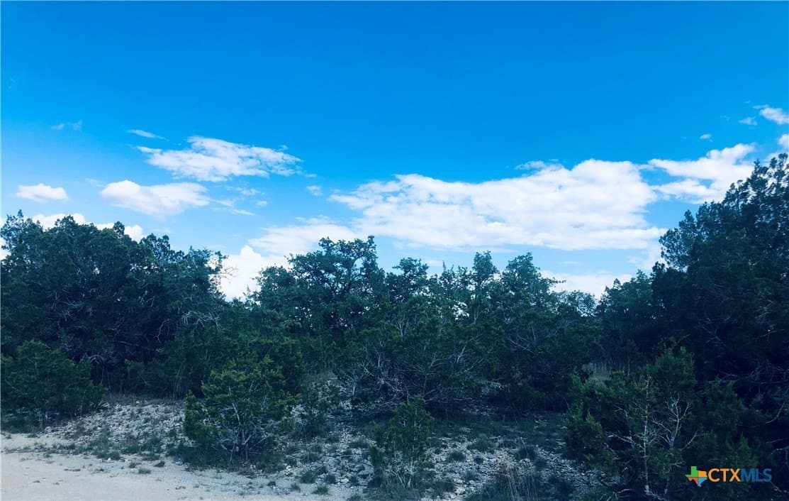 0.24 acres in Blanco County gallery image 4