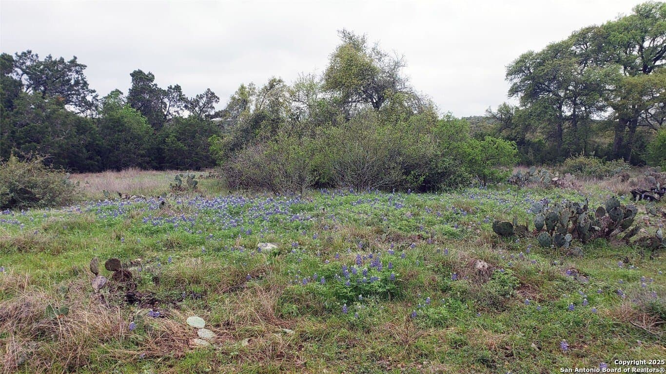 5 acres in Hays County - photo 2