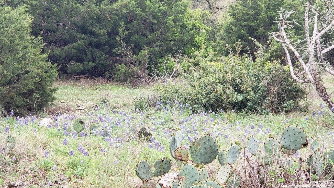 5 acres in Hays County - photo 4