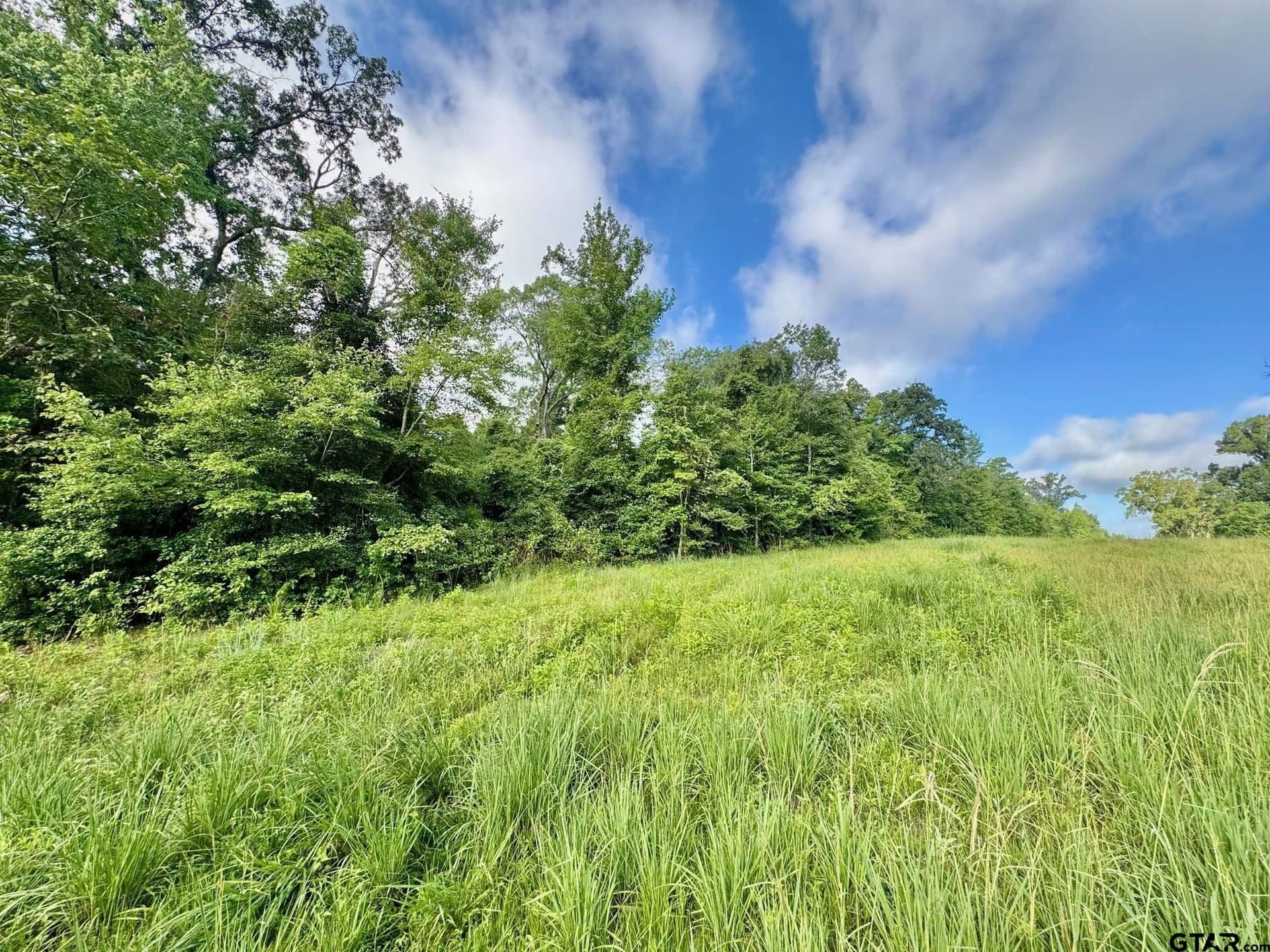 20 acres in Smith County
