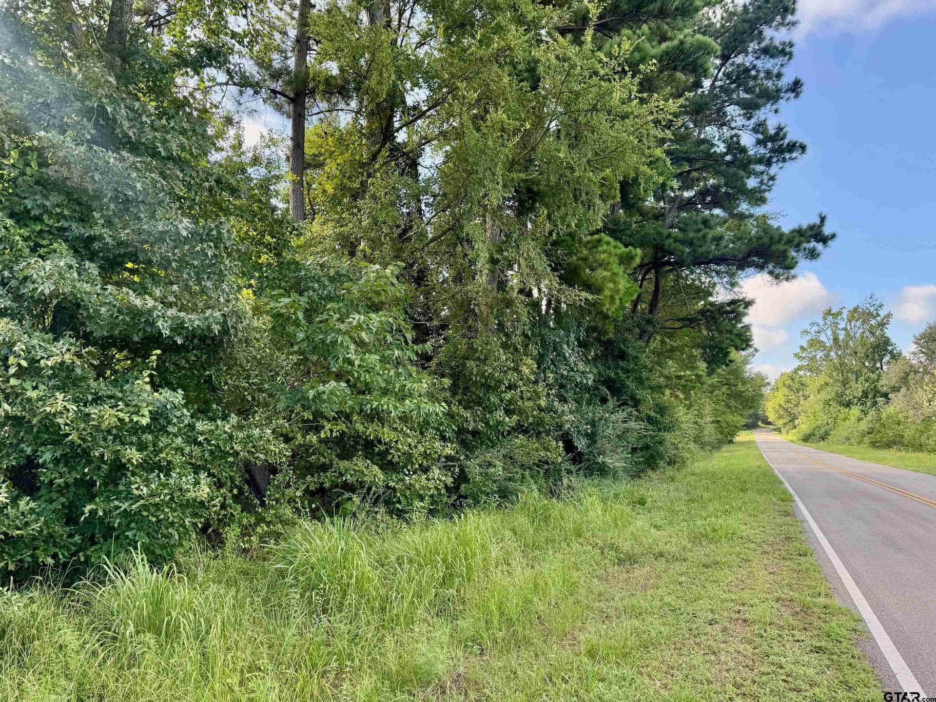 20 acres in Smith County - photo 5
