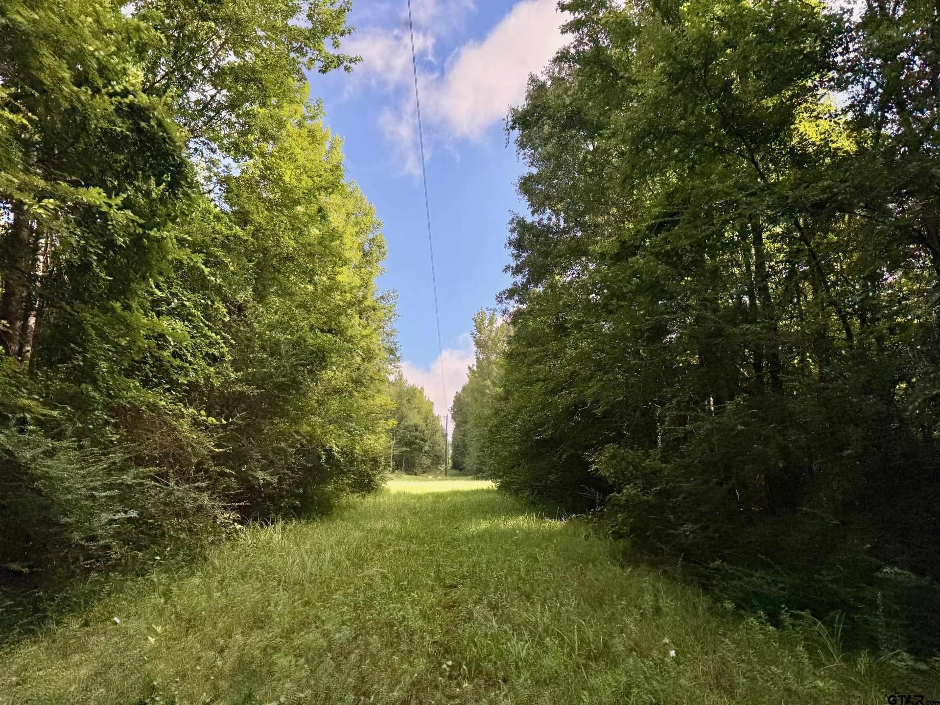 20 acres in Smith County - photo 3