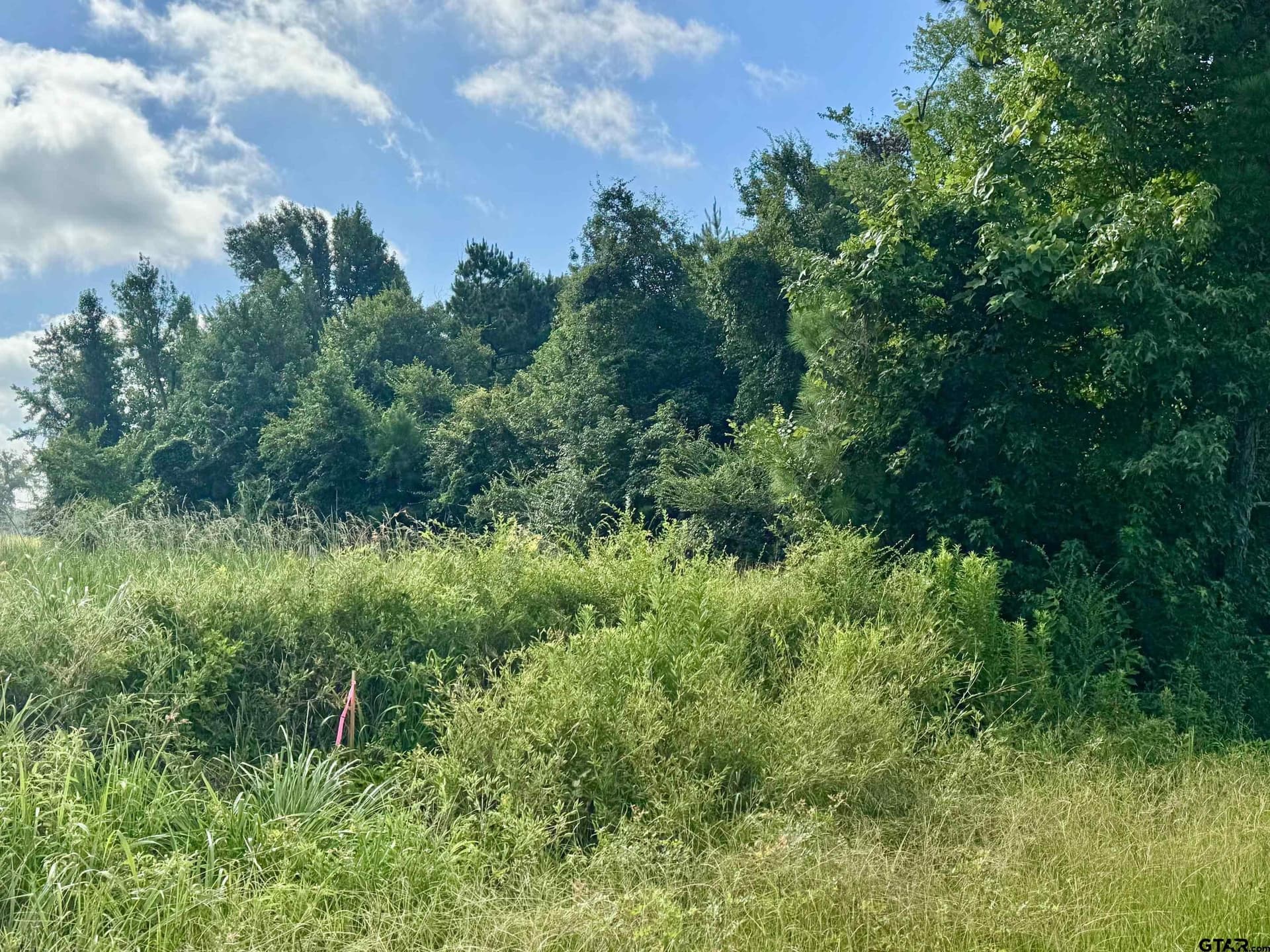 20 acres in Smith County - photo 6