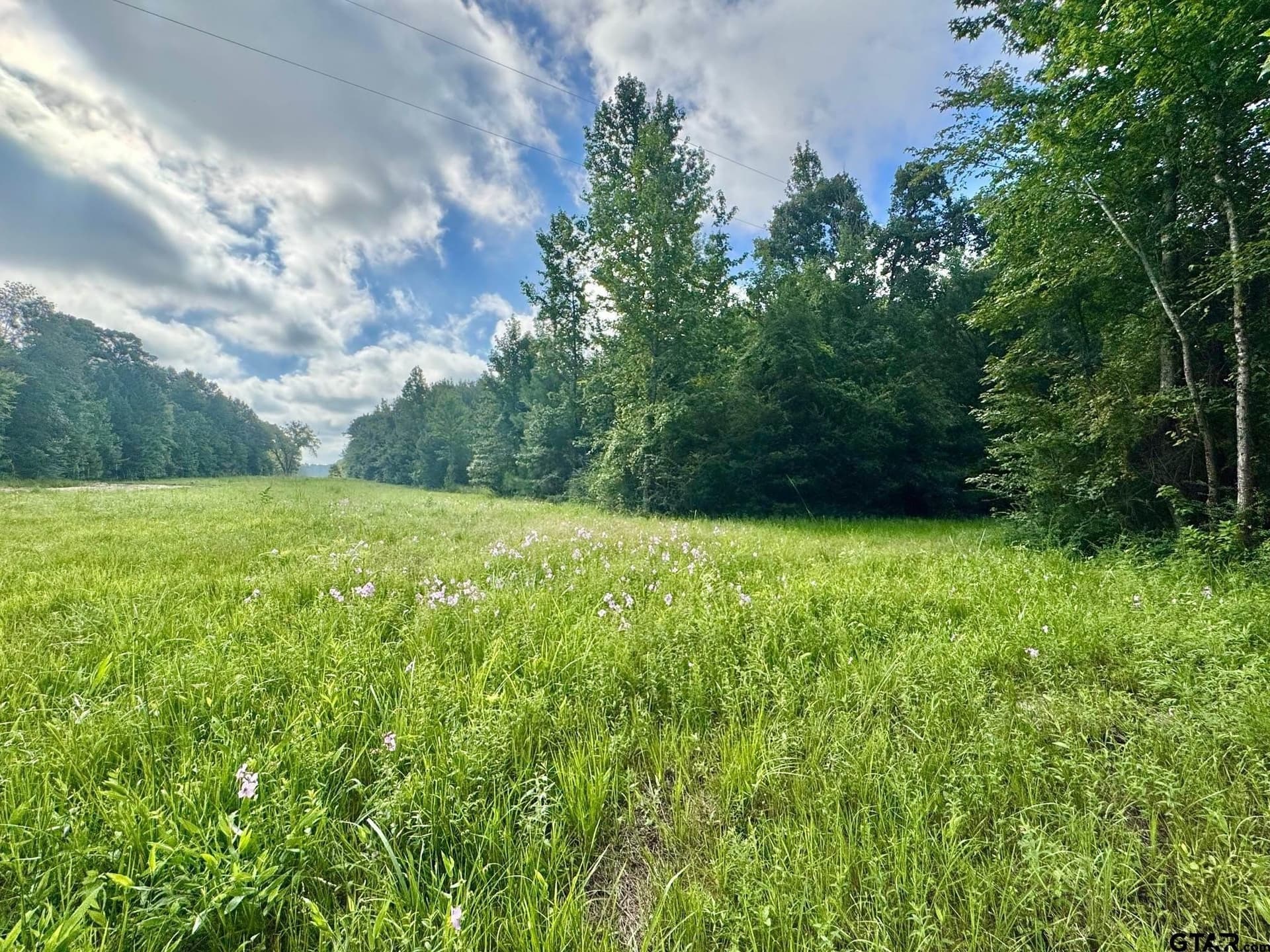 20 acres in Smith County - photo 2