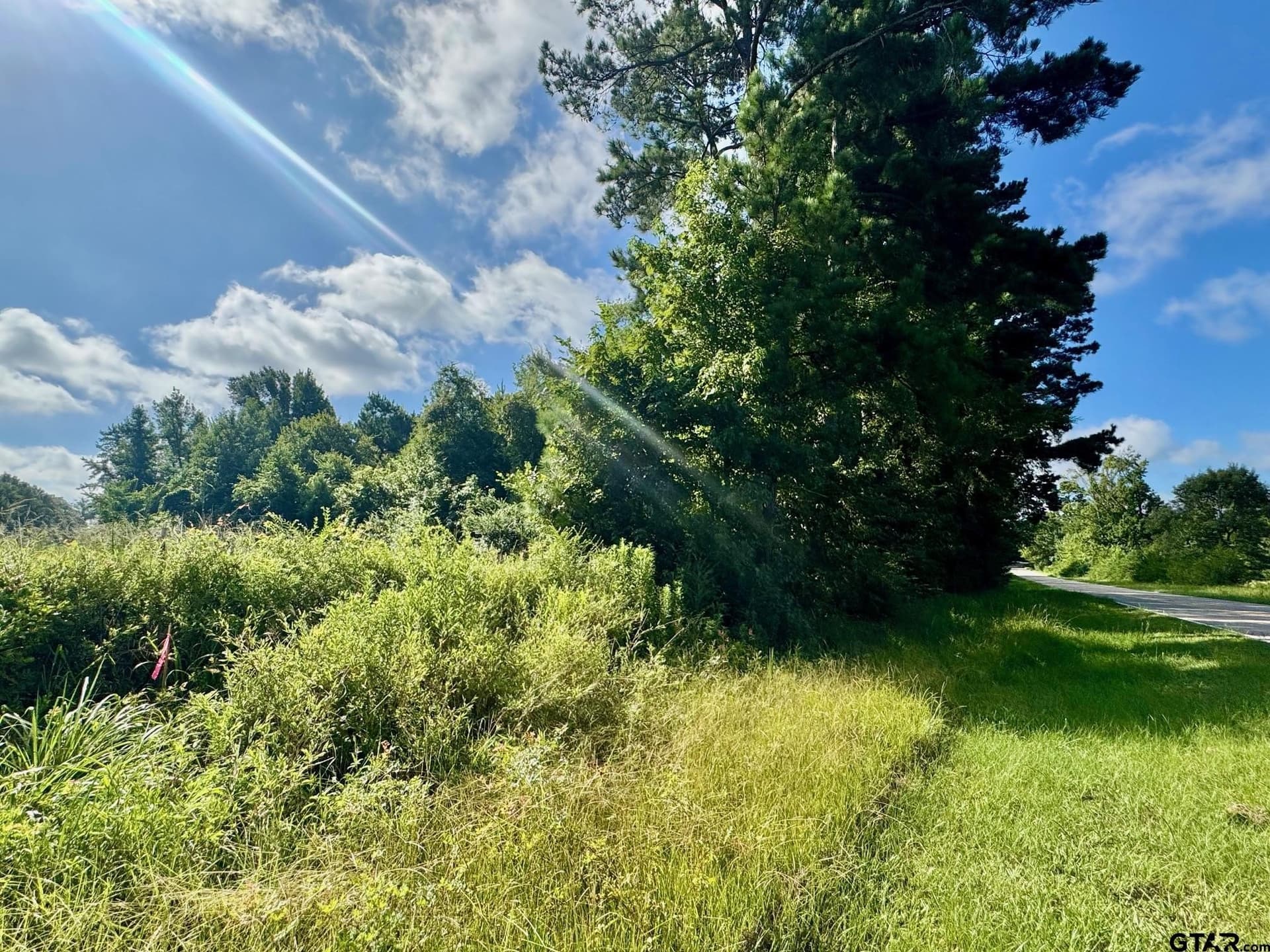20 acres in Smith County - photo 4
