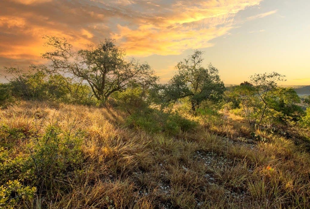 20 acres in Travis County gallery image 4