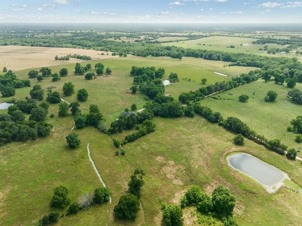 75 acres in Lamar County featured view