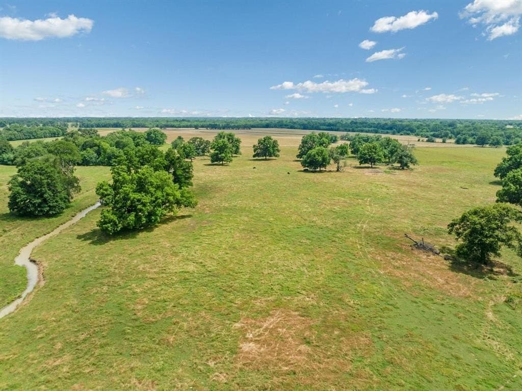 75 acres in Lamar County gallery image 3
