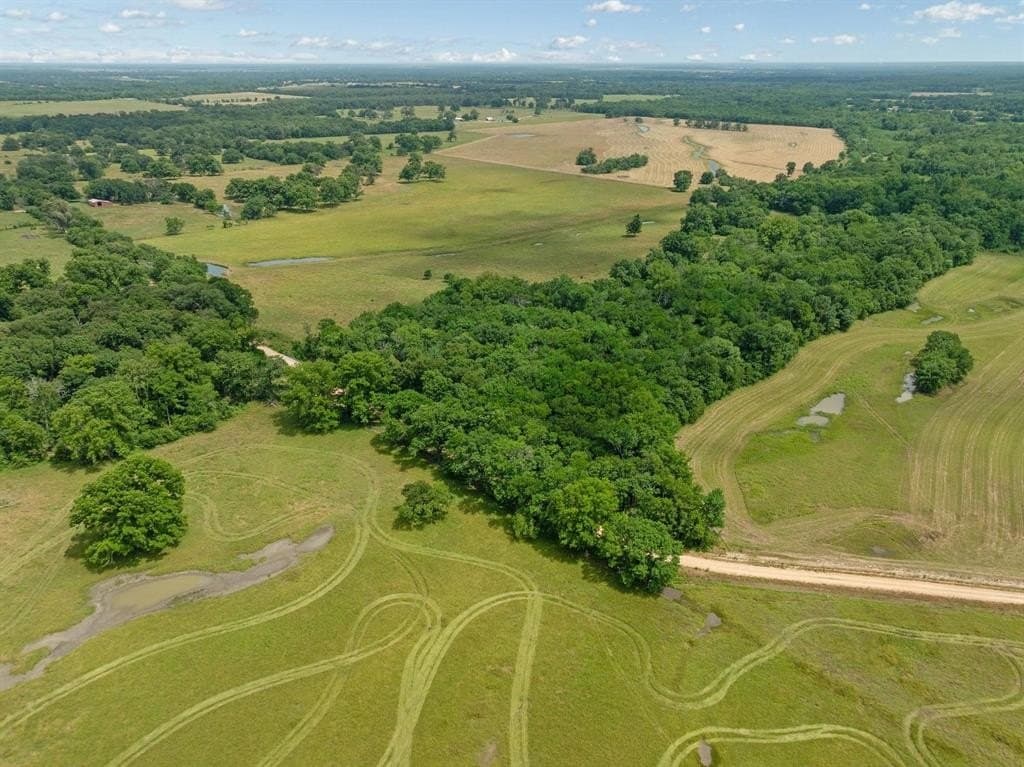 75 acres in Lamar County gallery image 4
