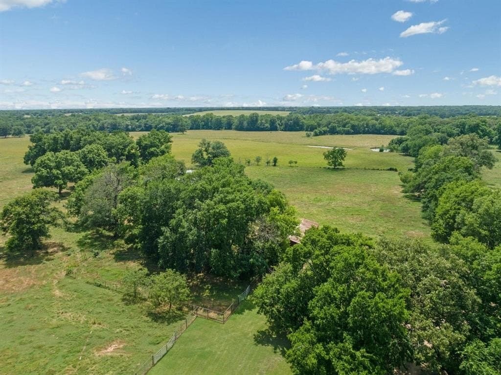 75 acres in Lamar County gallery image 2