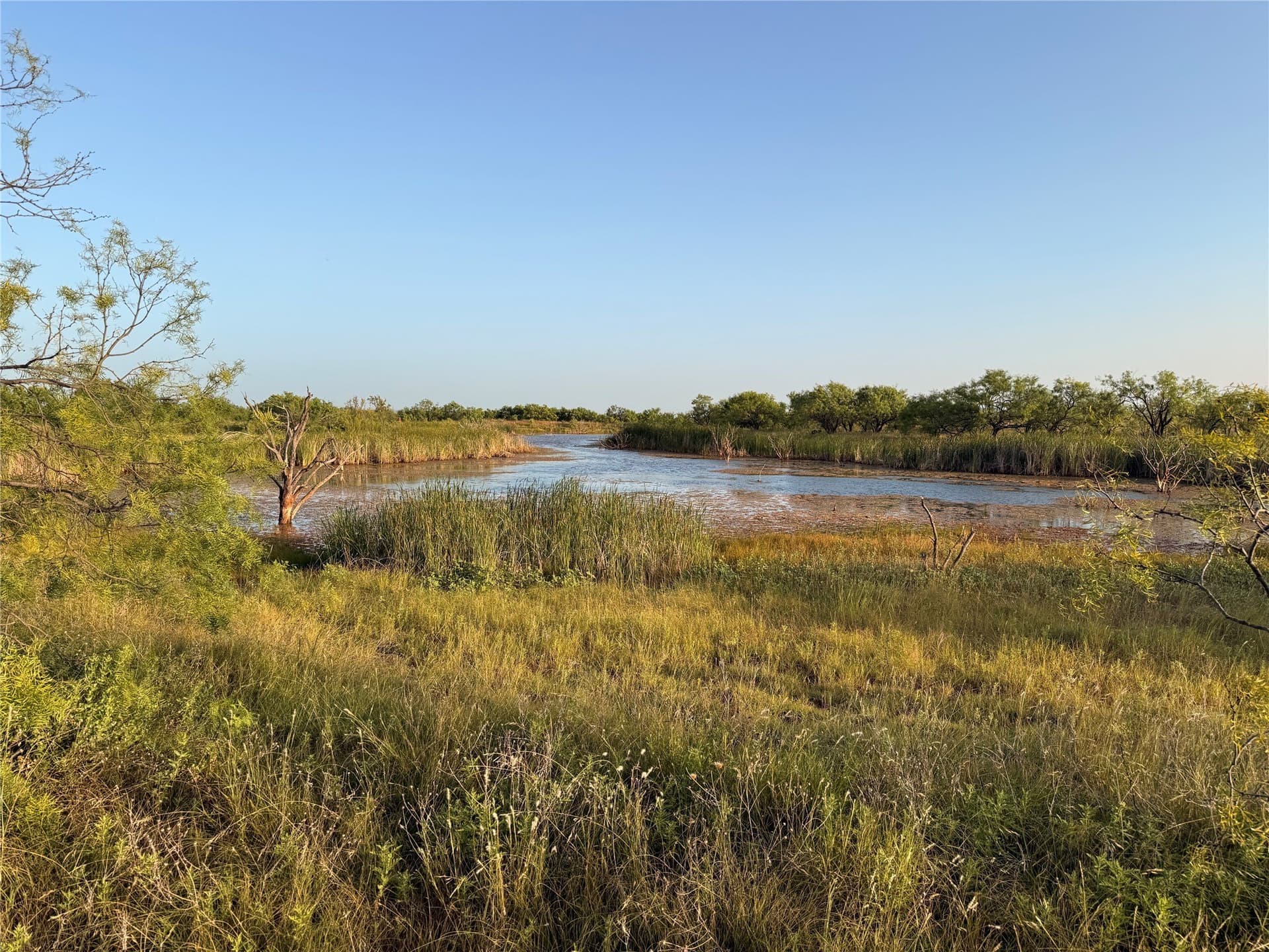 28 acres in Taylor County - photo 4