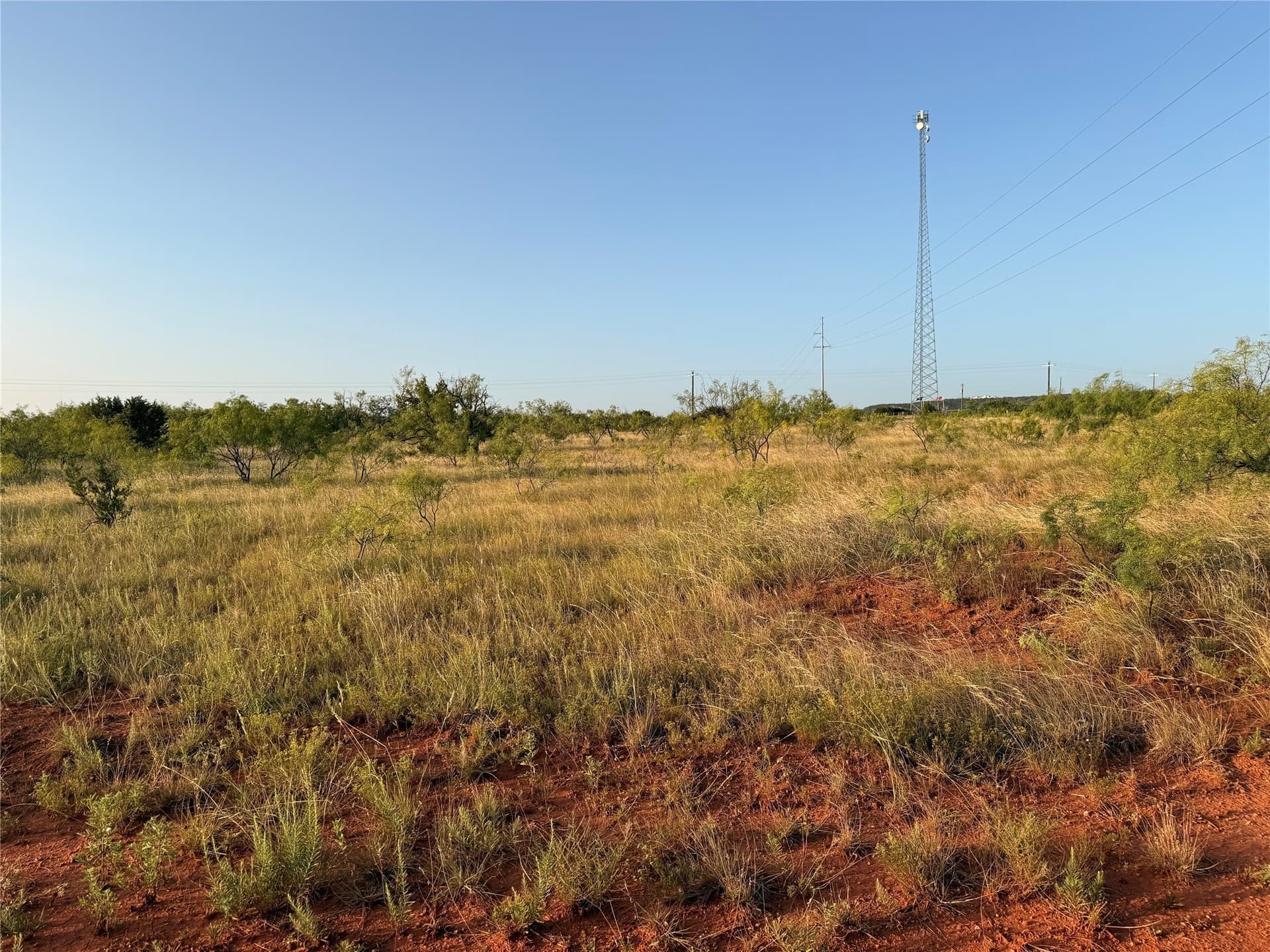 28 acres in Taylor County - photo 3