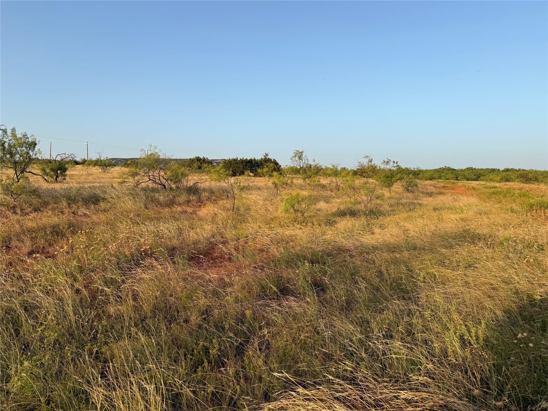 28 acres in Taylor County - photo 10