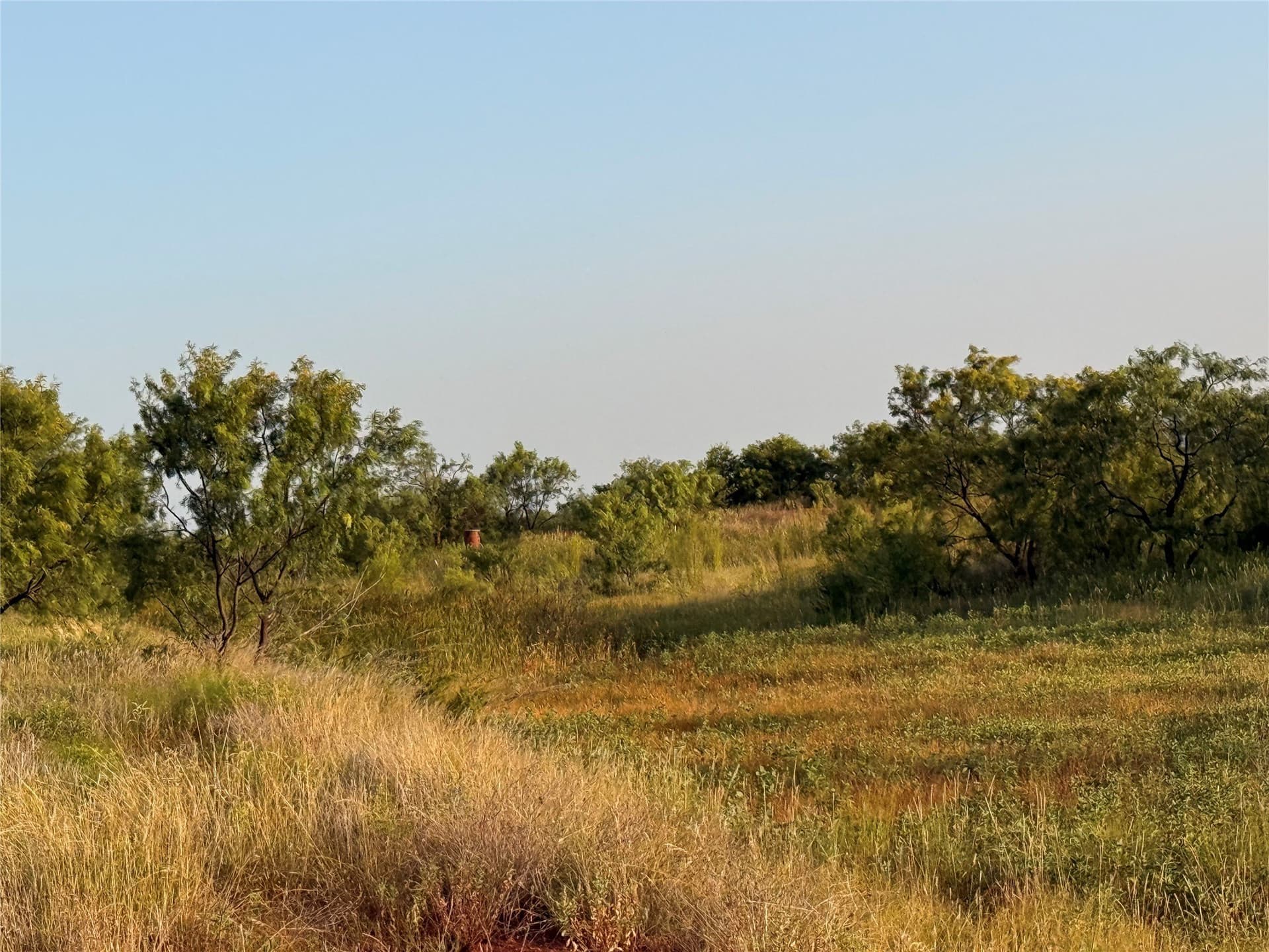28 acres in Taylor County - photo 6