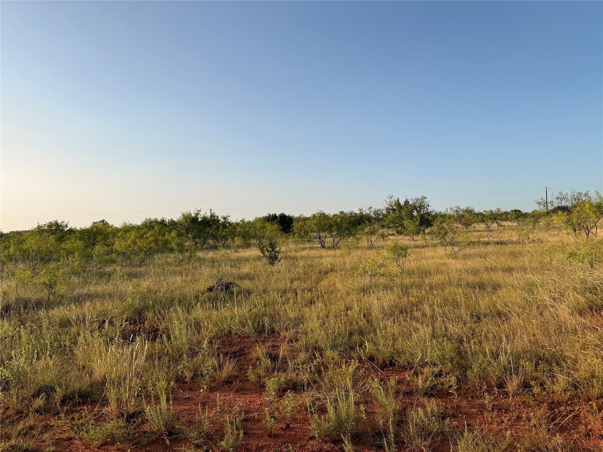 28 acres in Taylor County - photo 2