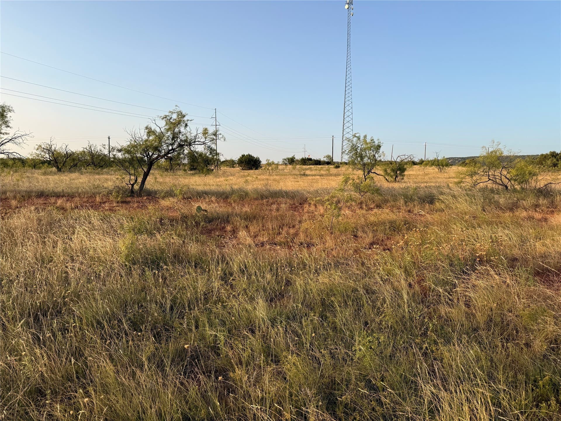 28 acres in Taylor County - photo 9