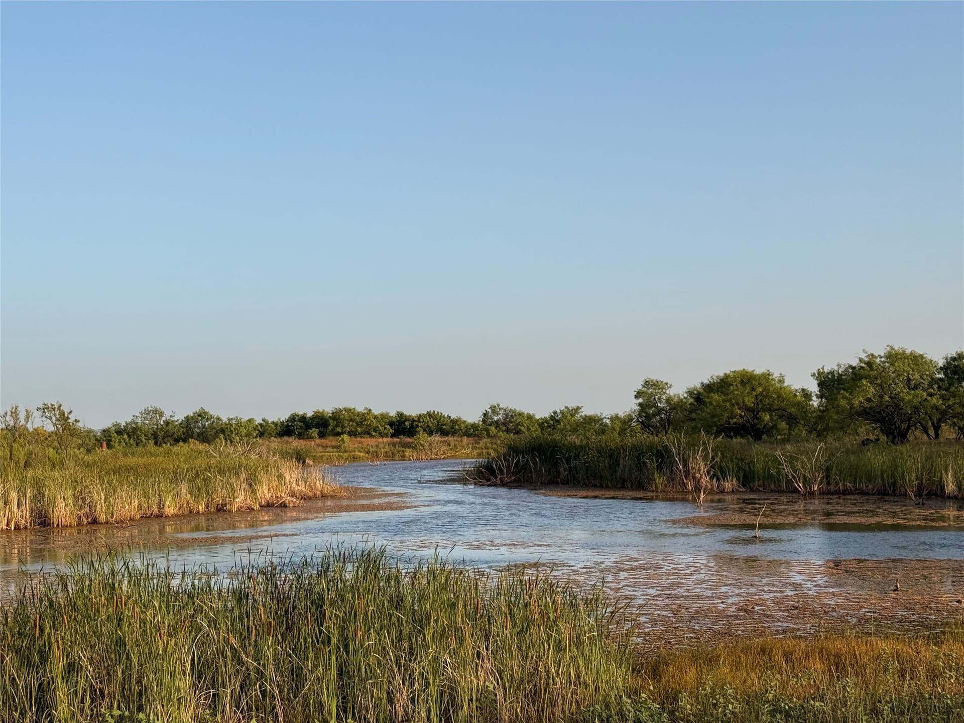 28 acres in Taylor County - photo 5