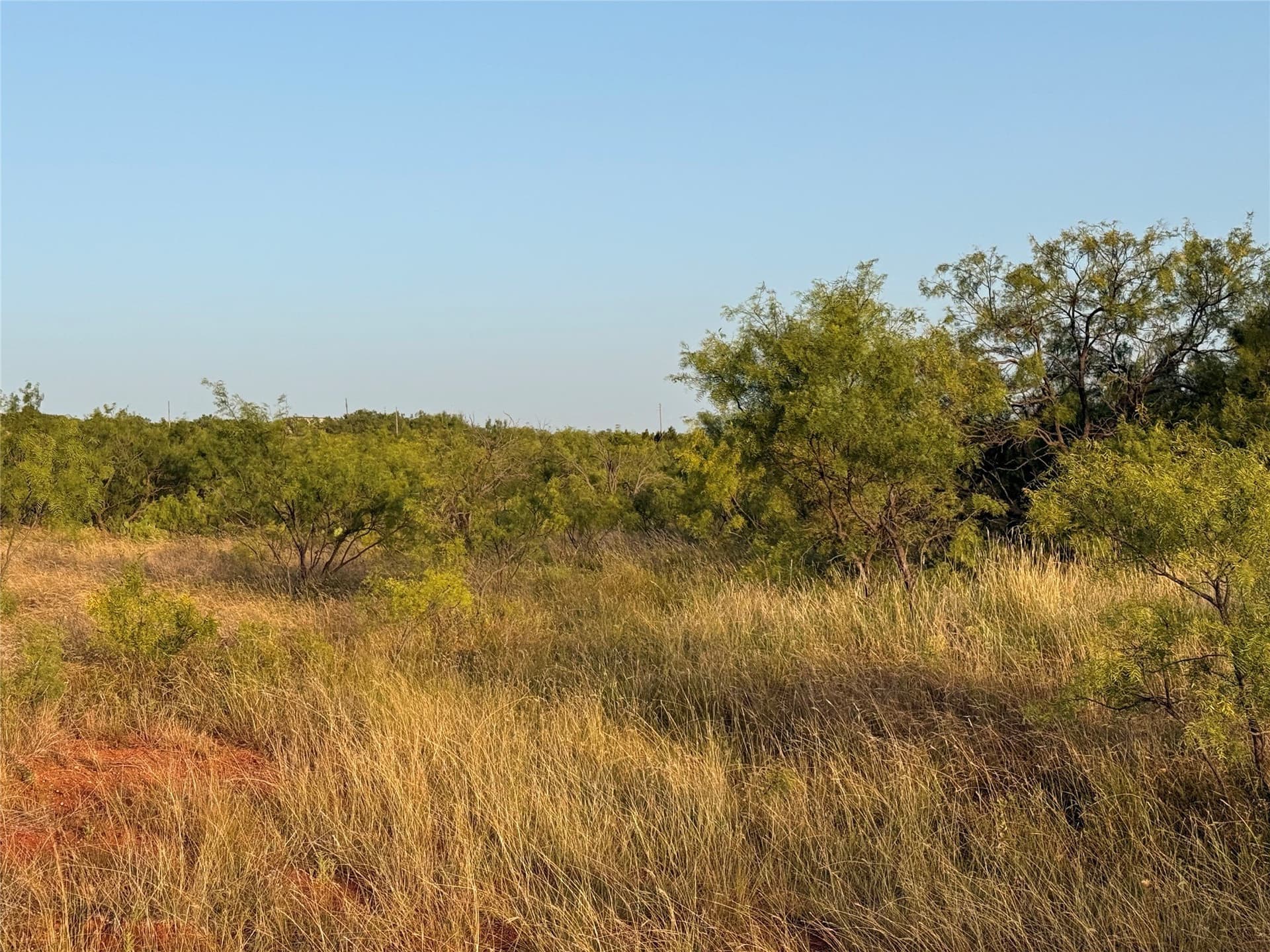 28 acres in Taylor County - photo 7