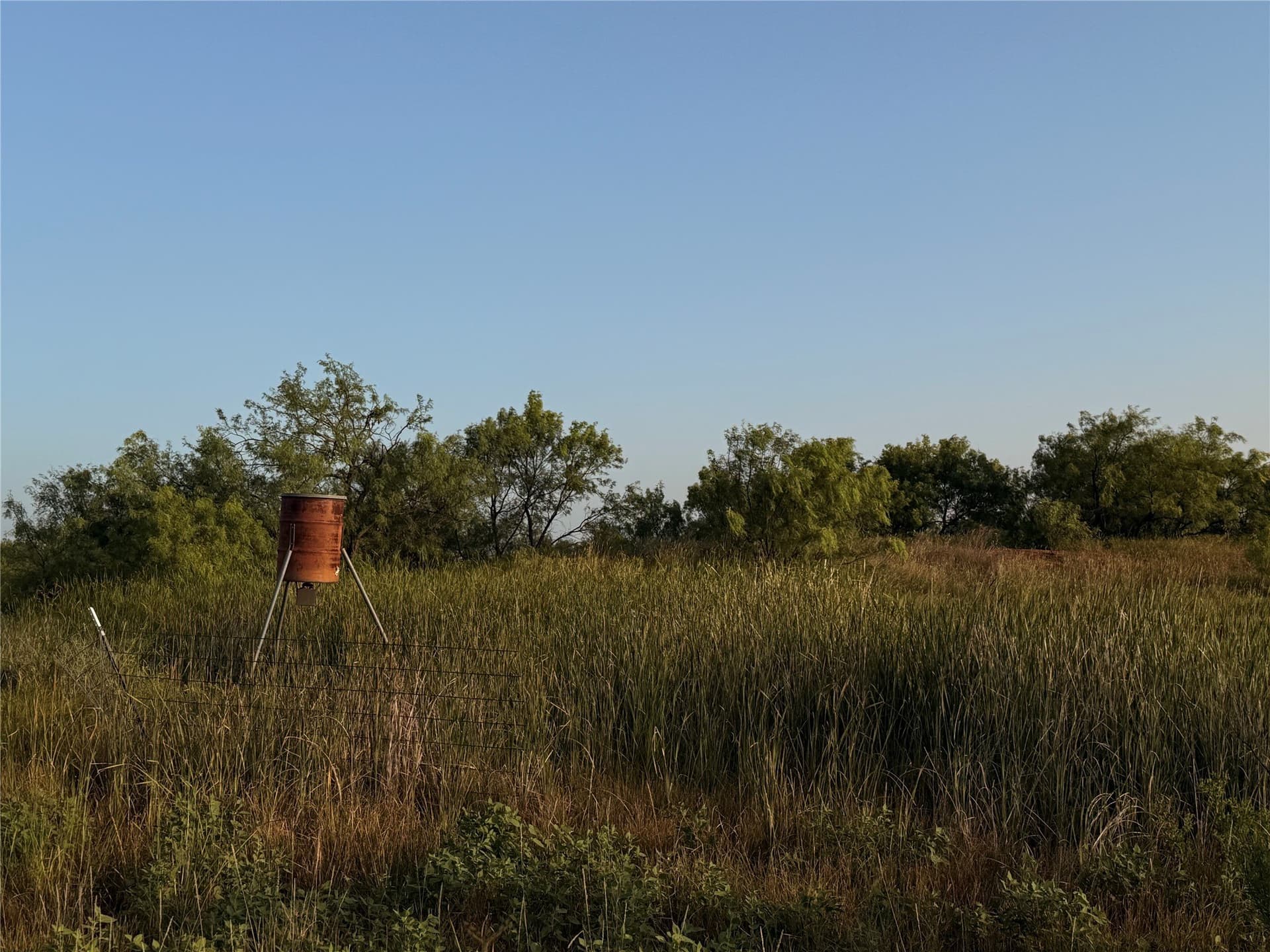 28 acres in Taylor County - photo 8
