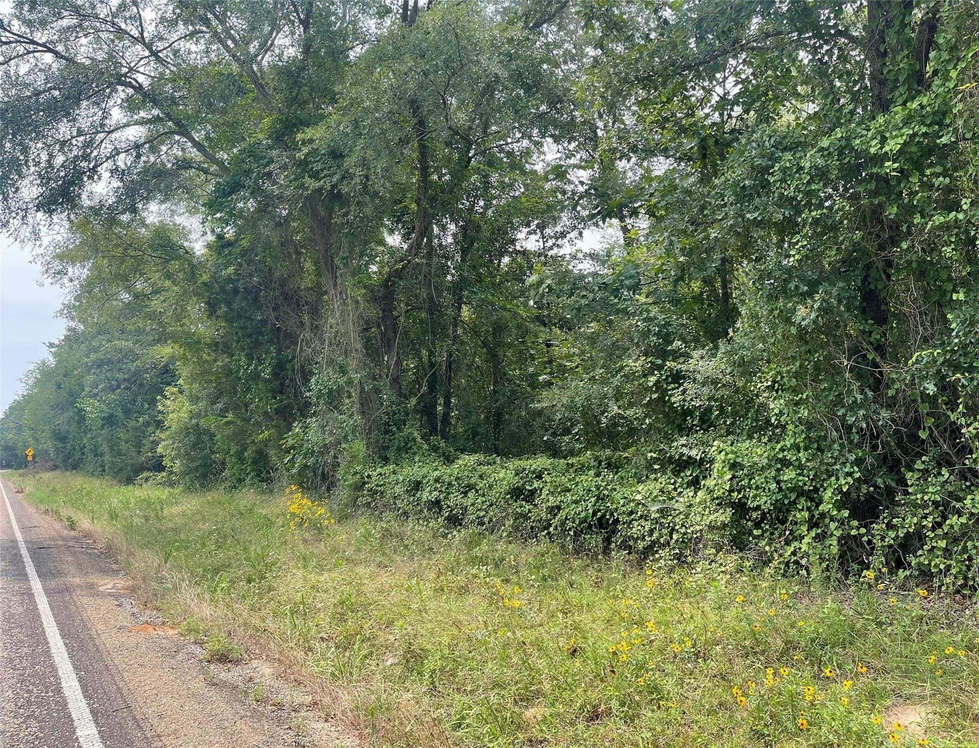 1.38 acres in Camp County