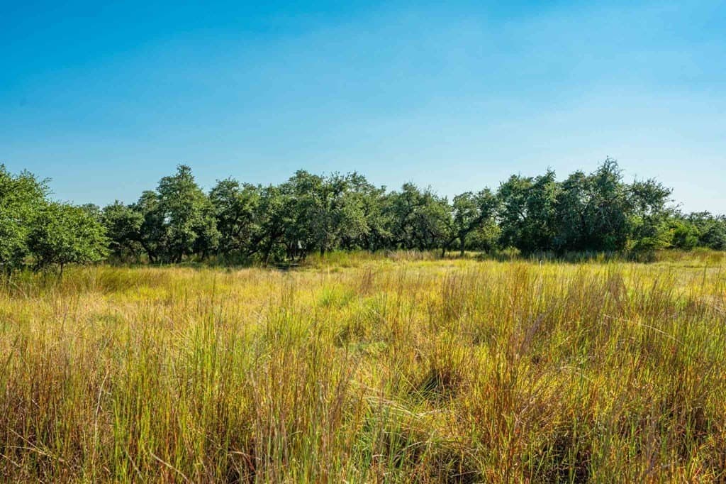 26.36 acres in Blanco County gallery image 4