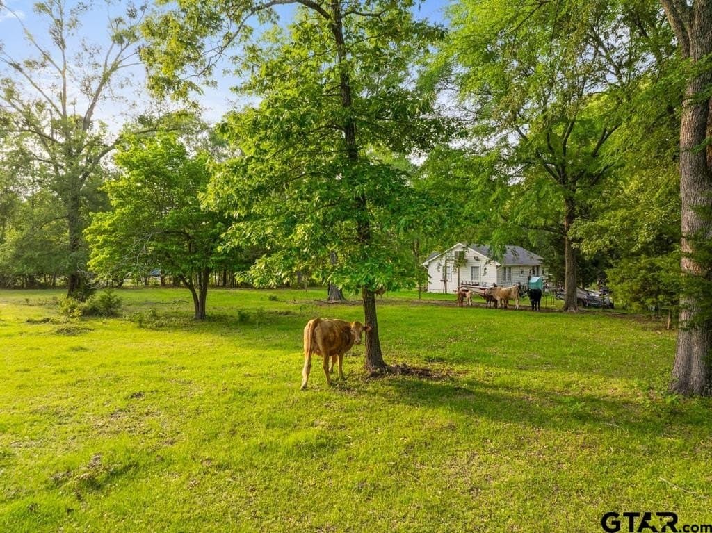 11.23 acres in Smith County gallery image 4