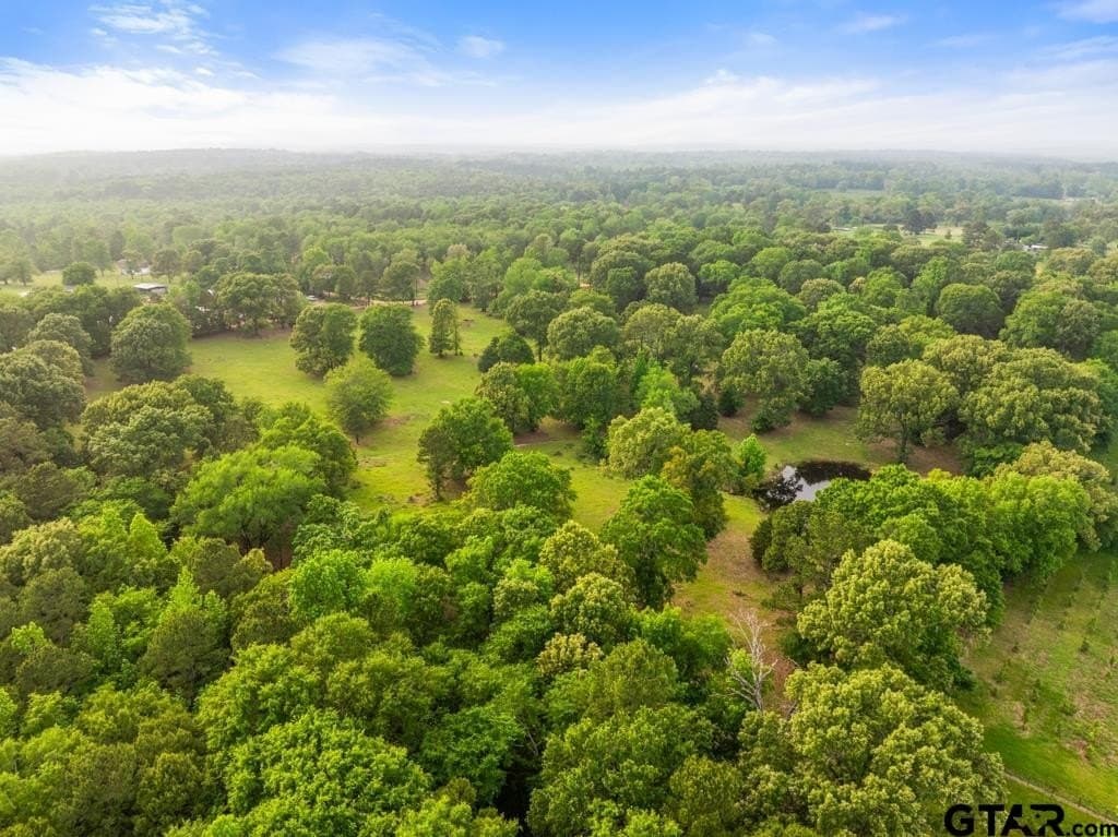 11.23 acres in Smith County gallery image 2