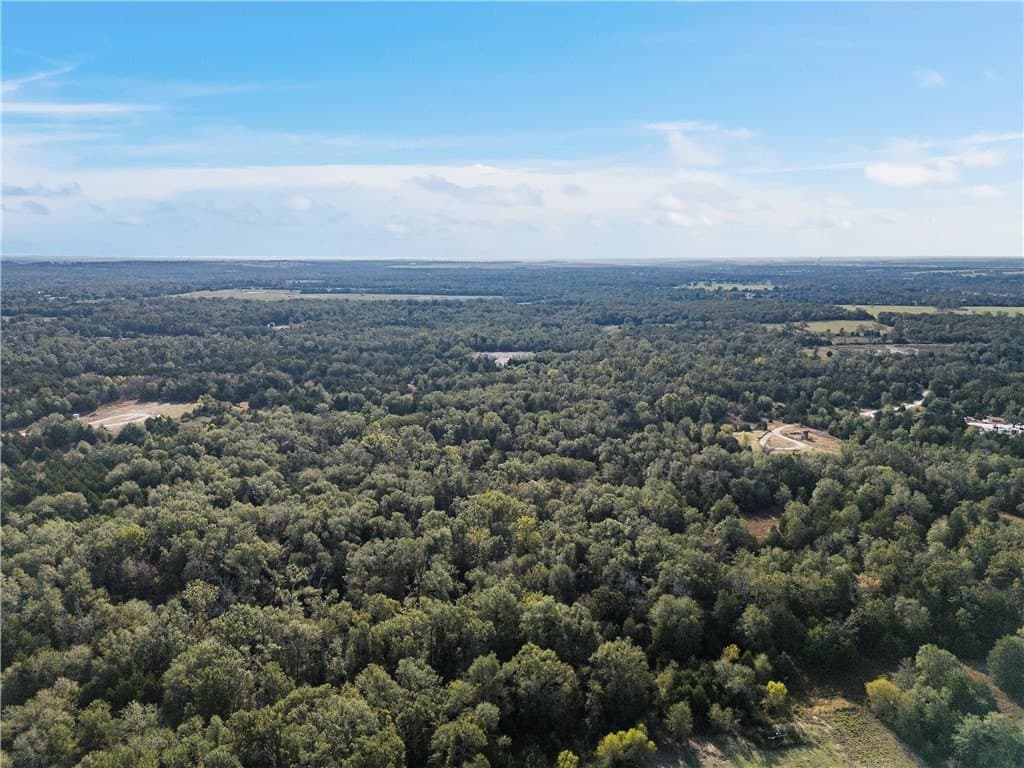 11.71 acres in Freestone County - photo 6
