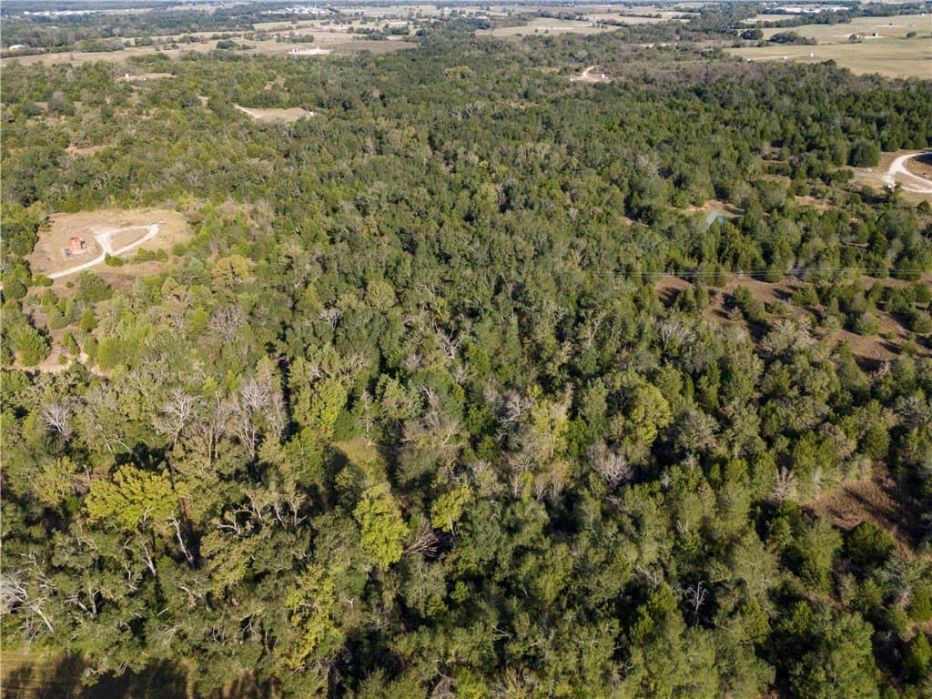 11.71 acres in Freestone County - photo 3