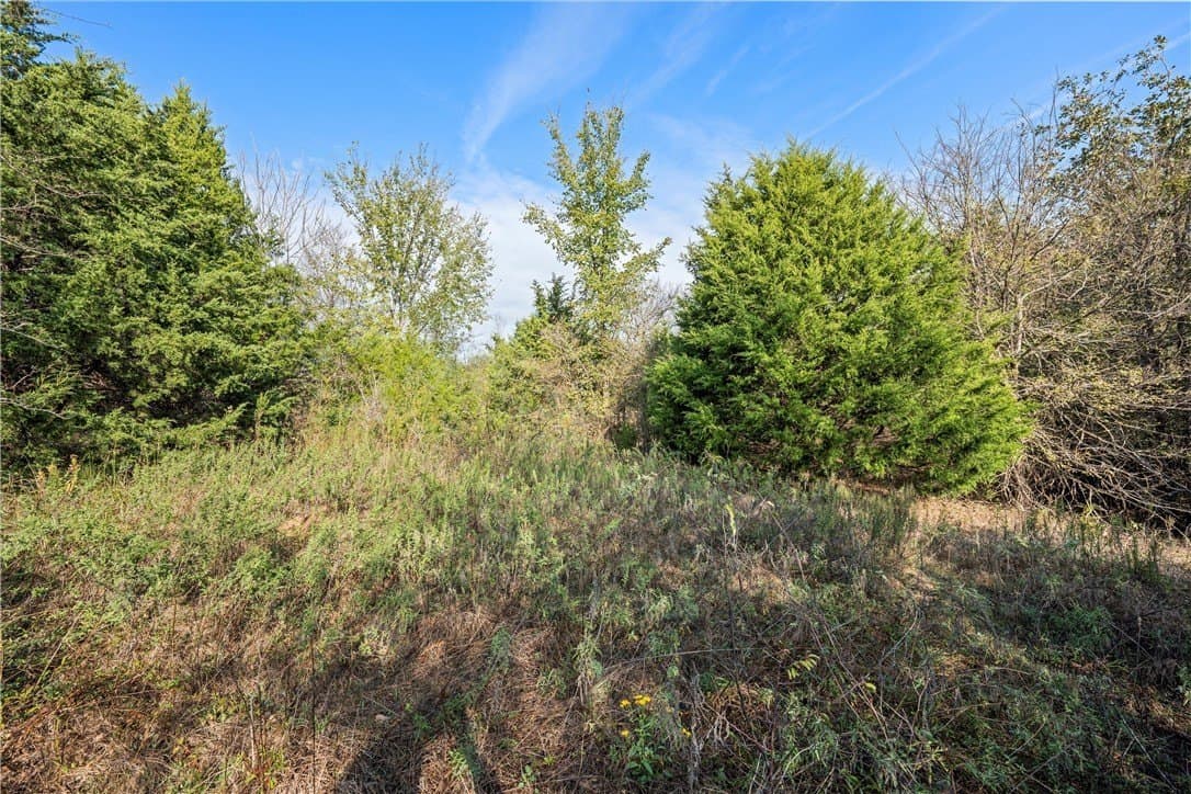 11.71 acres in Freestone County - photo 4