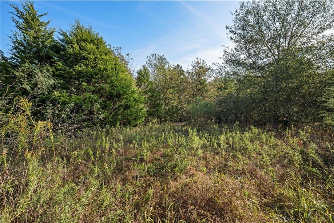11.71 acres in Freestone County - photo 5