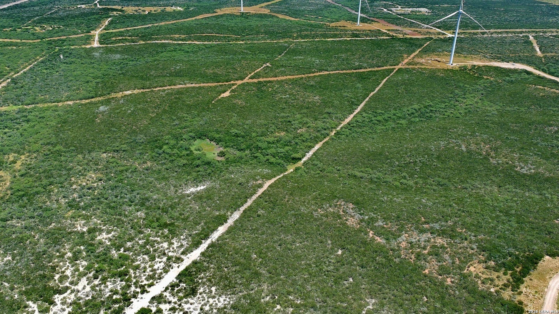 173.48 acres in Duval County gallery image 4