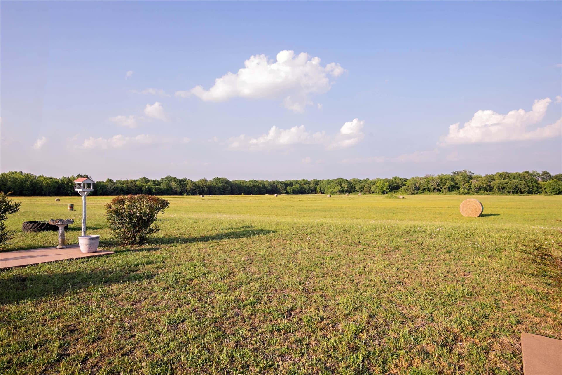 54 acres in Fannin County - photo 25