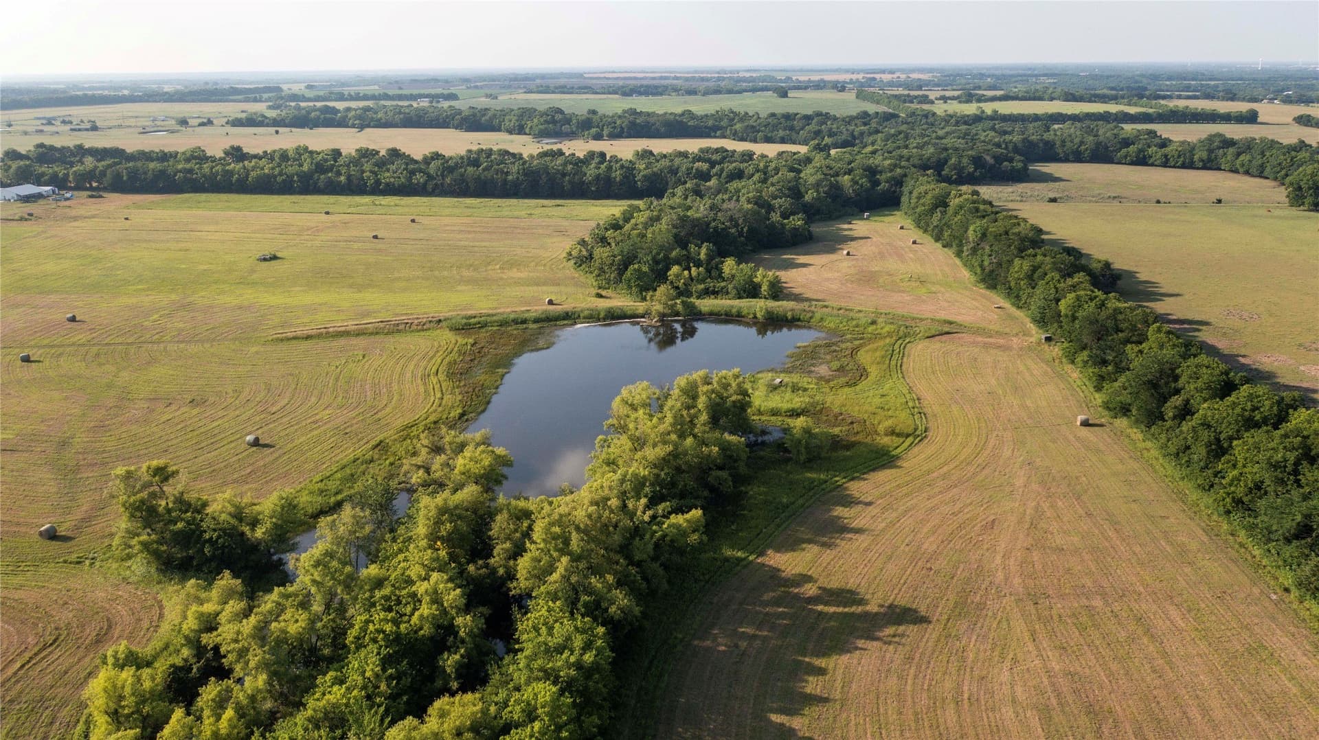 54 acres in Fannin County - photo 31