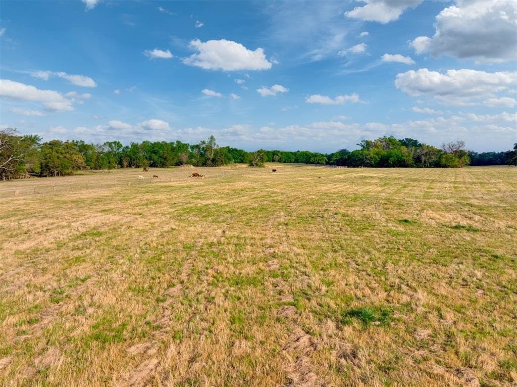 43.54 acres in Franklin (TX) County gallery image 4