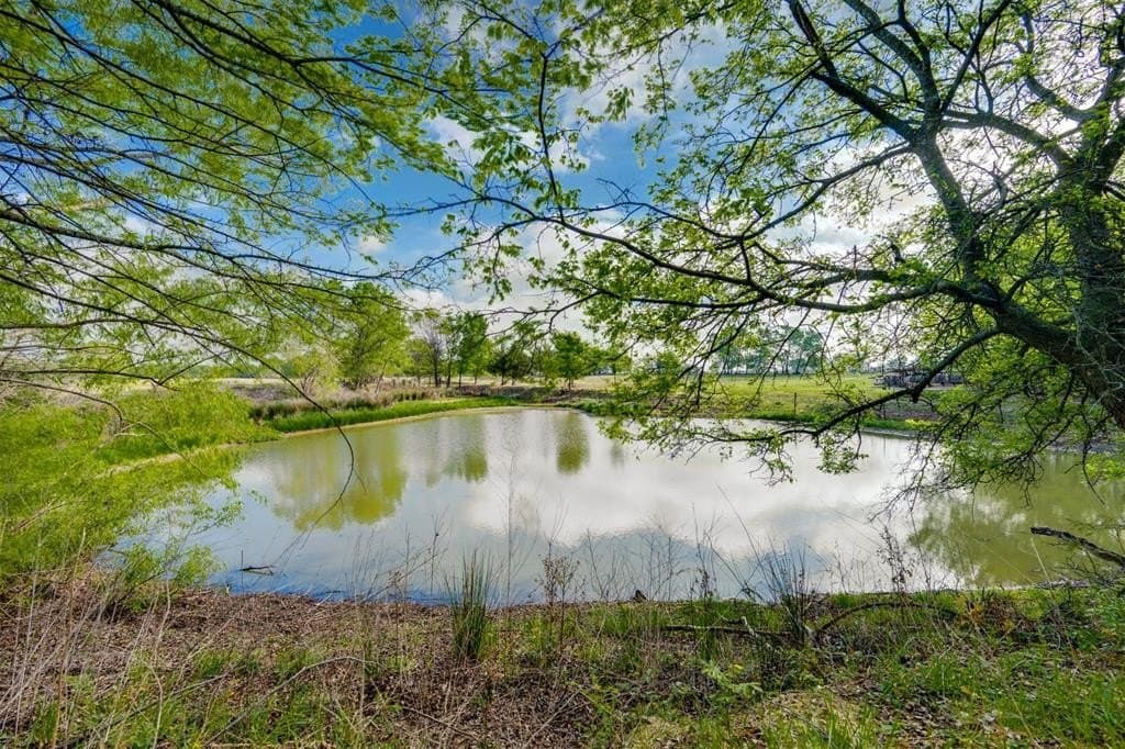 43.54 acres in Franklin (TX) County gallery image 3