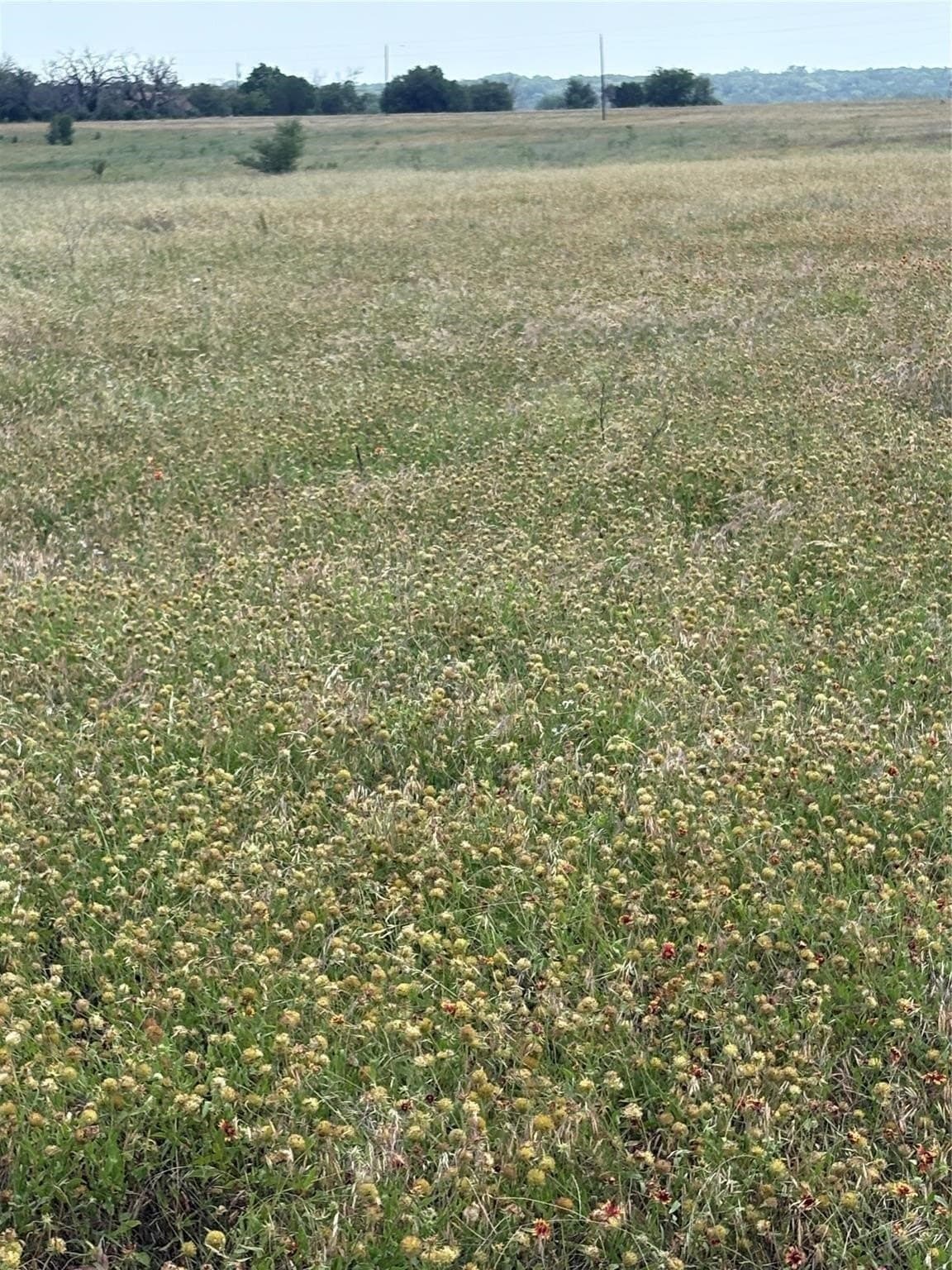 1.35 acres in Bosque County - photo 2