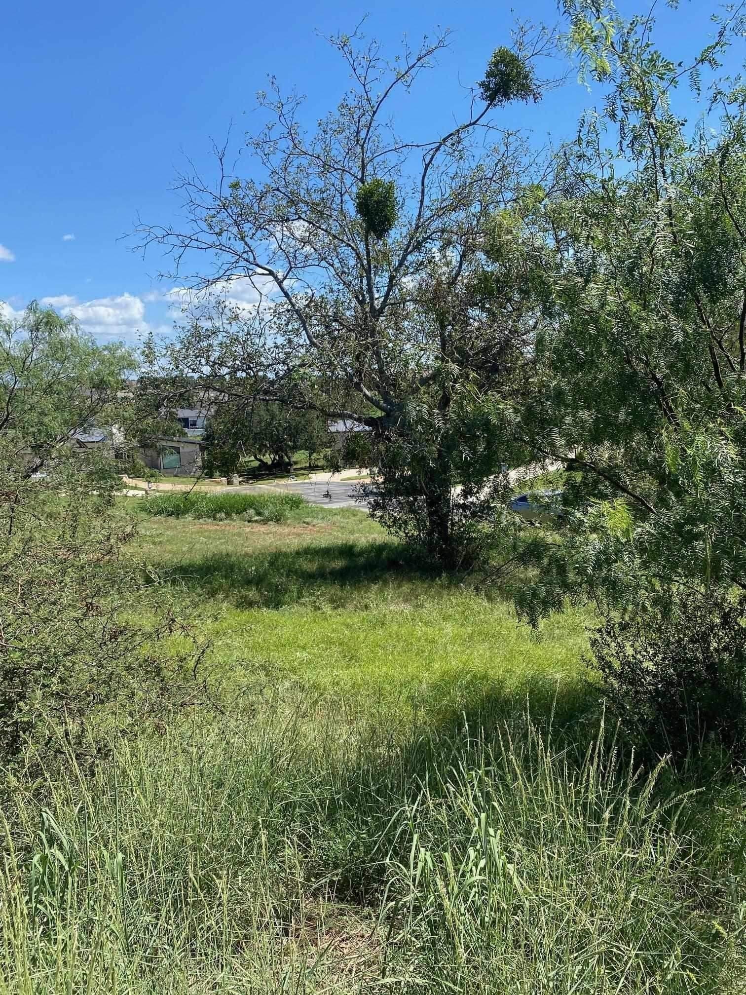 0.53 acres in Llano County gallery image 2