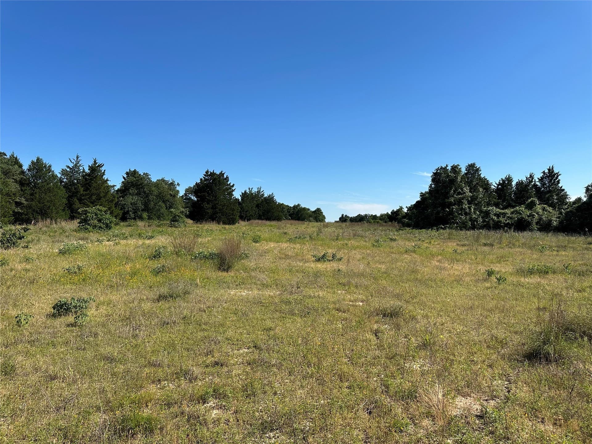 31.46 acres in Freestone County gallery image 2